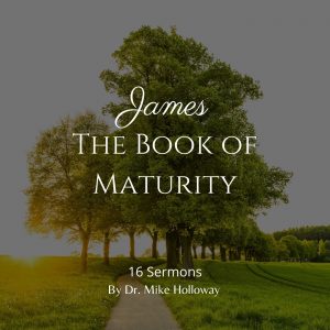 James – The Book of Maturity