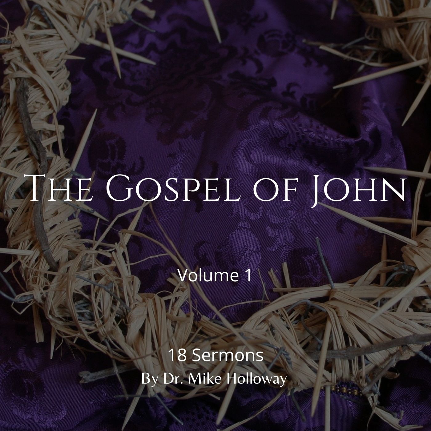 The Gospel of John – Volume 1
