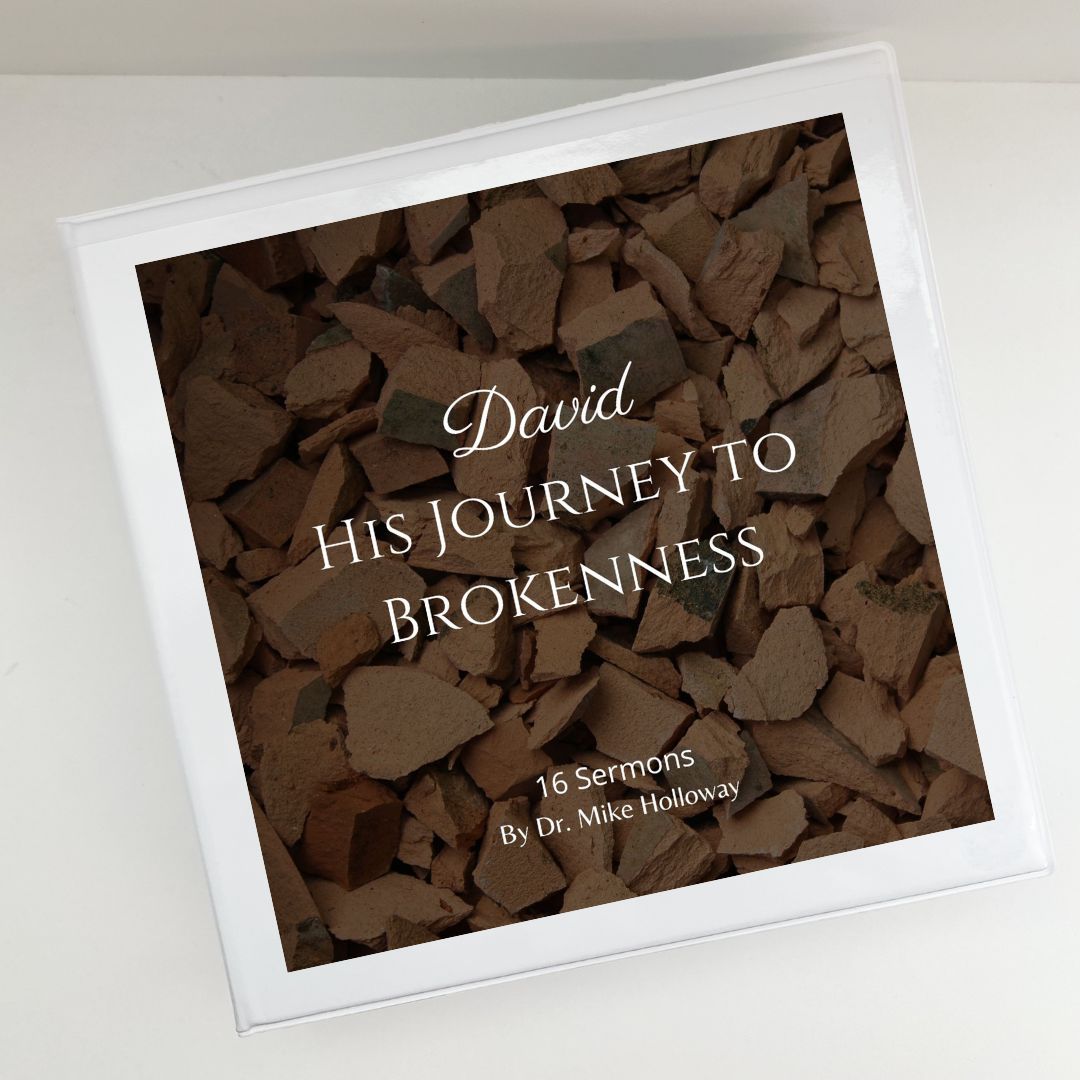 David - His Journey to Brokenness - Image 3